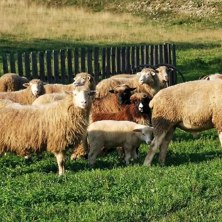 W Górach Na Wyłączność